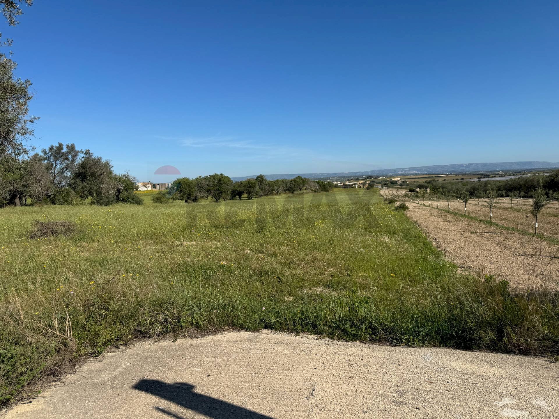 Giardino - Agricultural land Pachino - photo 3