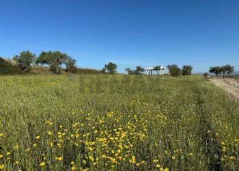 Giardino - Agricultural land Pachino - photo 1