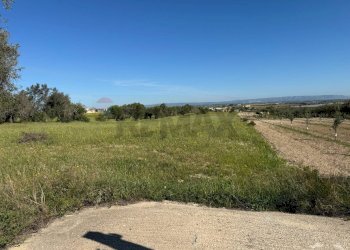 Giardino - Agricultural land Pachino - photo 3