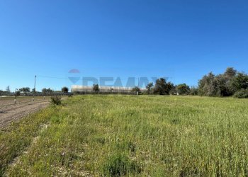 Giardino - Agricultural land Pachino - photo 7