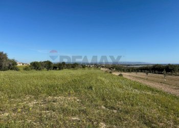 Giardino - Agricultural land Pachino - photo 8