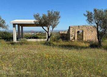 Giardino - Agricultural land Pachino - photo 9