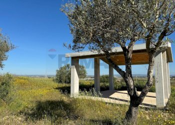 Giardino - Agricultural land Pachino - photo 10