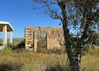 Edificio all\'aperto - Agricultural land Pachino - photo 11