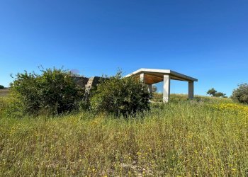 Giardino - Agricultural land Pachino - photo 14