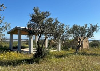 Giardino - Agricultural land Pachino - photo 22