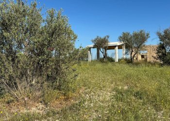 Giardino - Agricultural land Pachino - photo 24