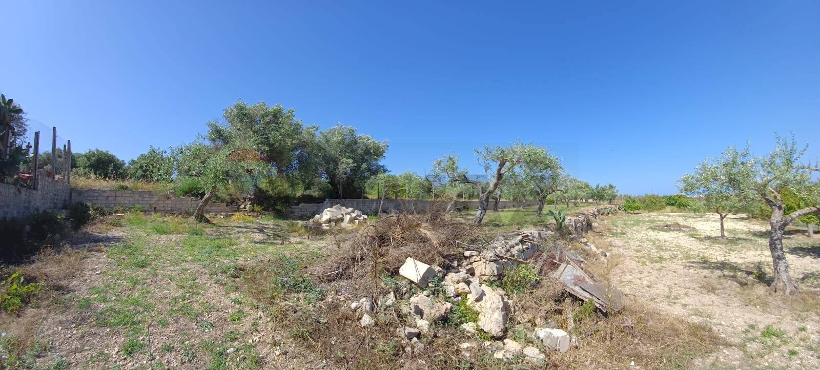 Giardino - Agricultural land Viale Paradiso
snc, Pachino - photo 2