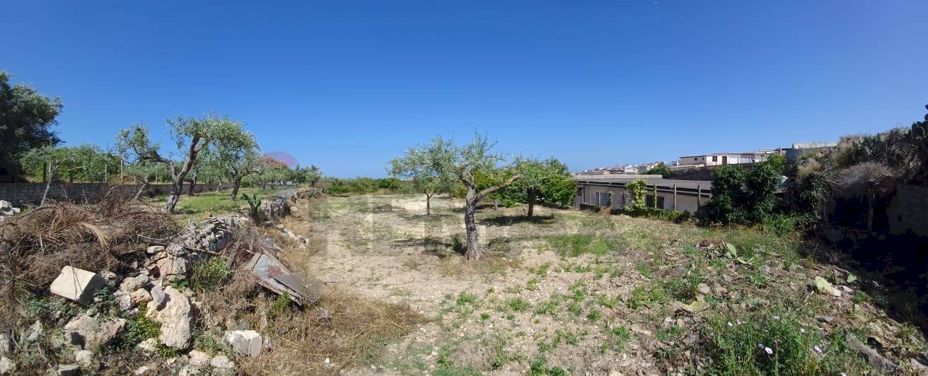 Giardino - Agricultural land Viale Paradiso
snc, Pachino - photo 3