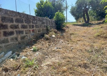 Giardino - Agricultural land Viale Paradiso
snc, Pachino - photo 1