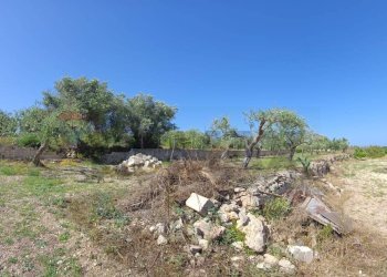 Giardino - Agricultural land Viale Paradiso
snc, Pachino - photo 2