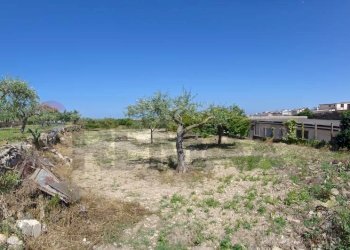 Giardino - Agricultural land Viale Paradiso
snc, Pachino - photo 3