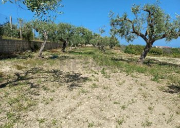 Giardino - Agricultural land Viale Paradiso
snc, Pachino - photo 5