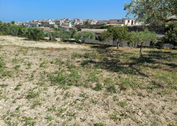 Giardino - Agricultural land Viale Paradiso
snc, Pachino - photo 6