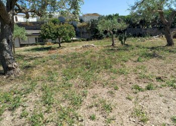 Giardino - Agricultural land Viale Paradiso
snc, Pachino - photo 7