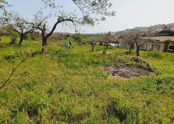 Giardino - Agricultural land Viale Paradiso
snc, Pachino - photo 9
