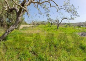 Giardino - Agricultural land Viale Paradiso
snc, Pachino - photo 10