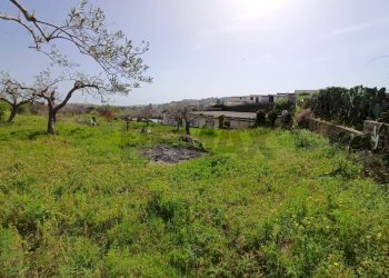 Giardino - Agricultural land Viale Paradiso
snc, Pachino - photo 11