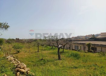 Giardino - Agricultural land Viale Paradiso
snc, Pachino - photo 14