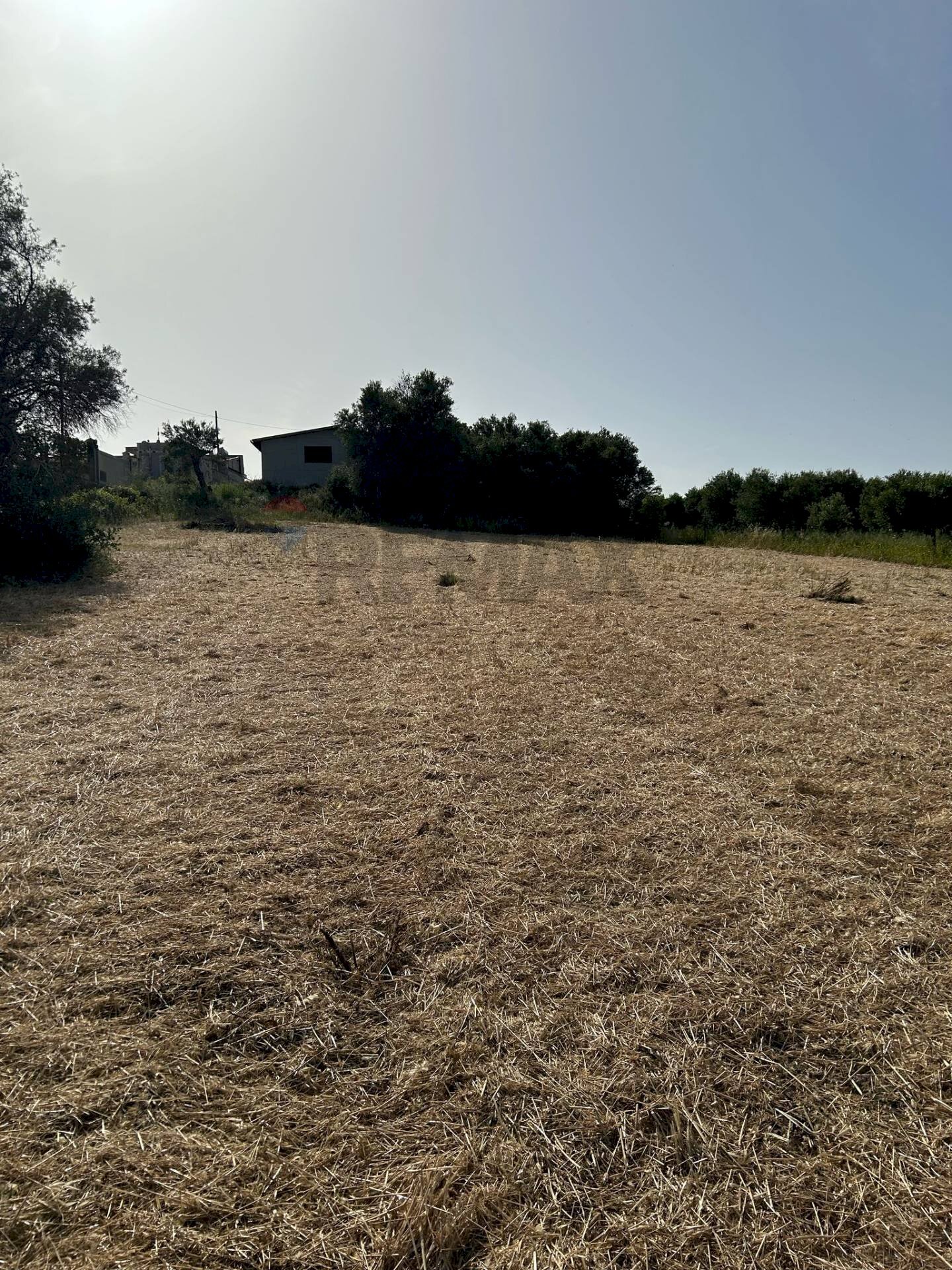 Giardino - Agricultural land Contrada Vadalazzo, Pachino - photo 1