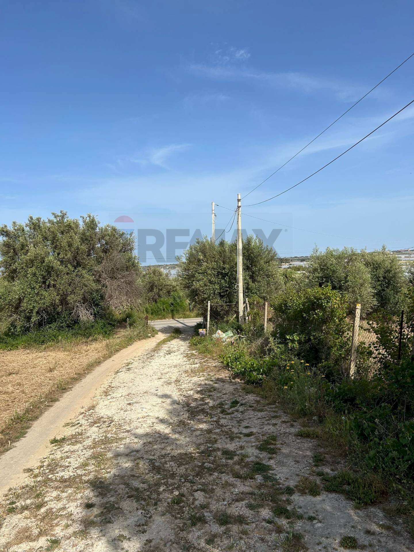 Giardino - Agricultural land Contrada Vadalazzo, Pachino - photo 2