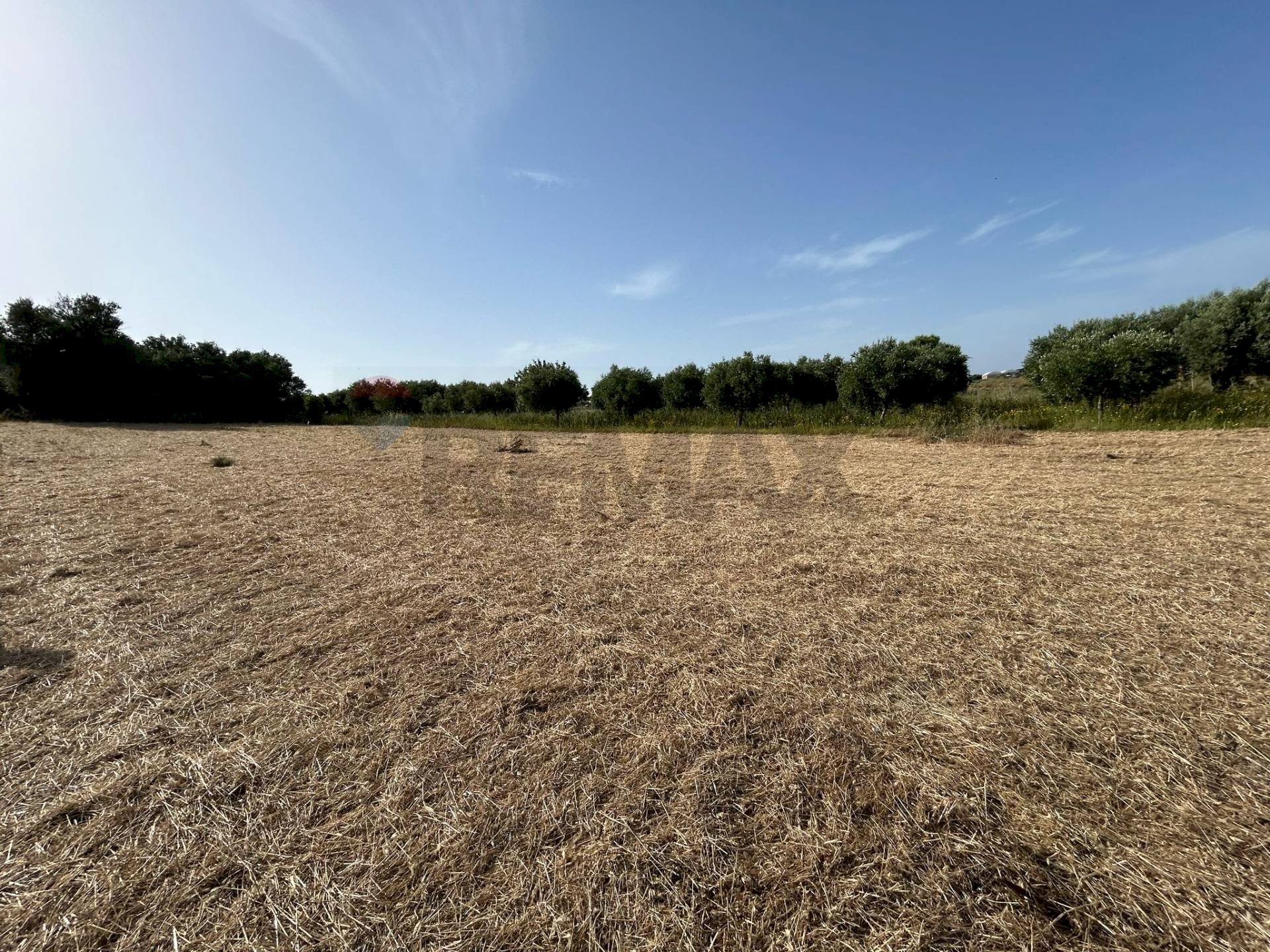 Giardino - Agricultural land Contrada Vadalazzo, Pachino - photo 3