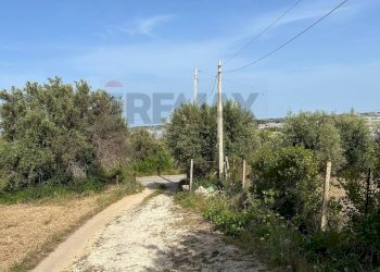 Giardino - Agricultural land Contrada Vadalazzo, Pachino - photo 2