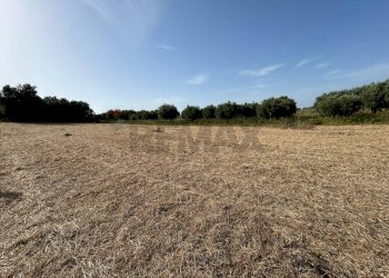 Giardino - Agricultural land Contrada Vadalazzo, Pachino - photo 3