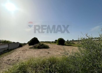 Giardino - Agricultural land Contrada Vadalazzo, Pachino - photo 17