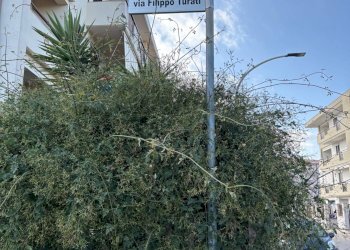 Edificio all\'aperto - Terreno edificabile VIA TURATI, Ispica - foto 26