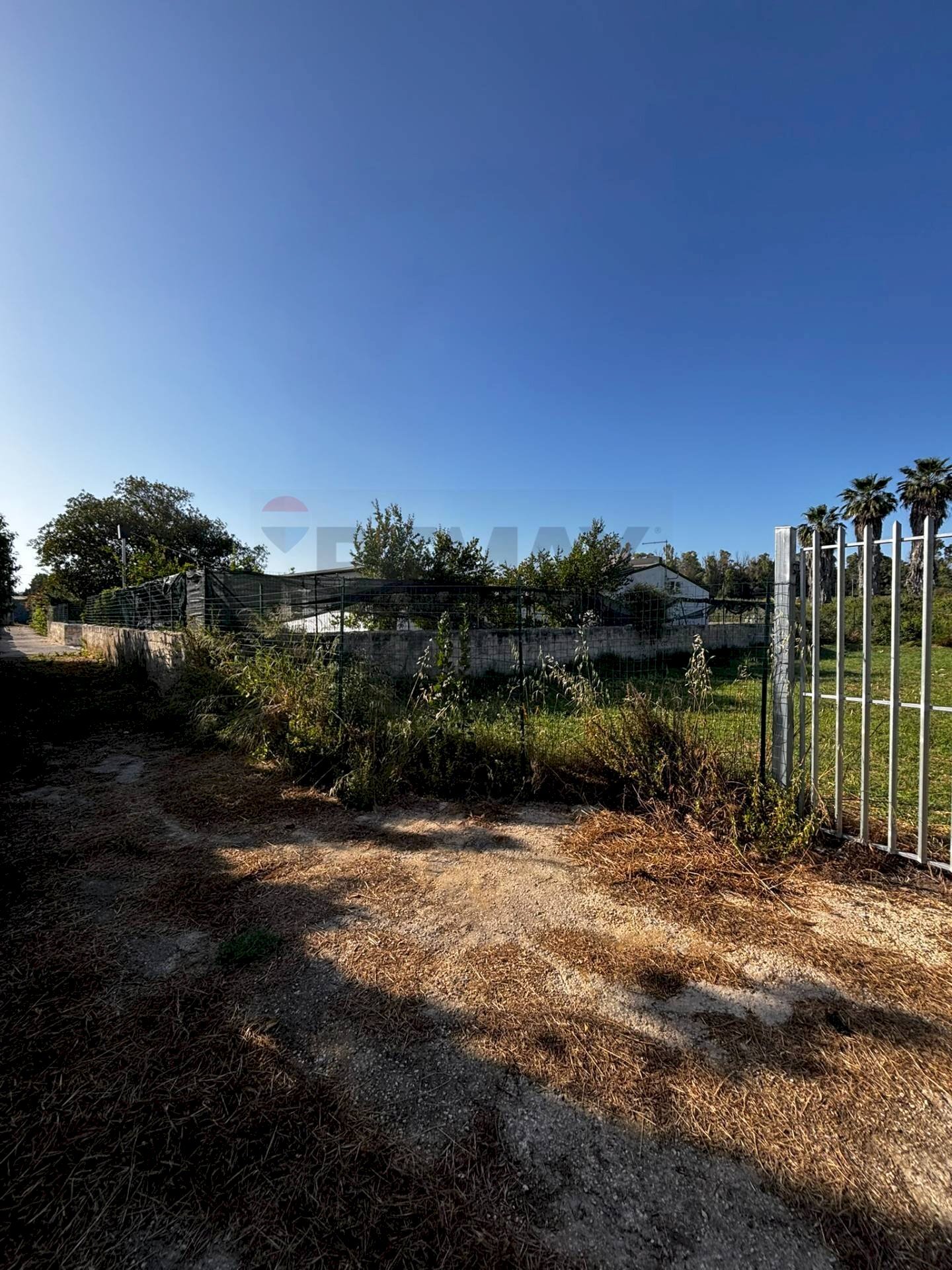 Giardino - Agricultural land Viale Paolo Orsi, Siracusa - photo 2