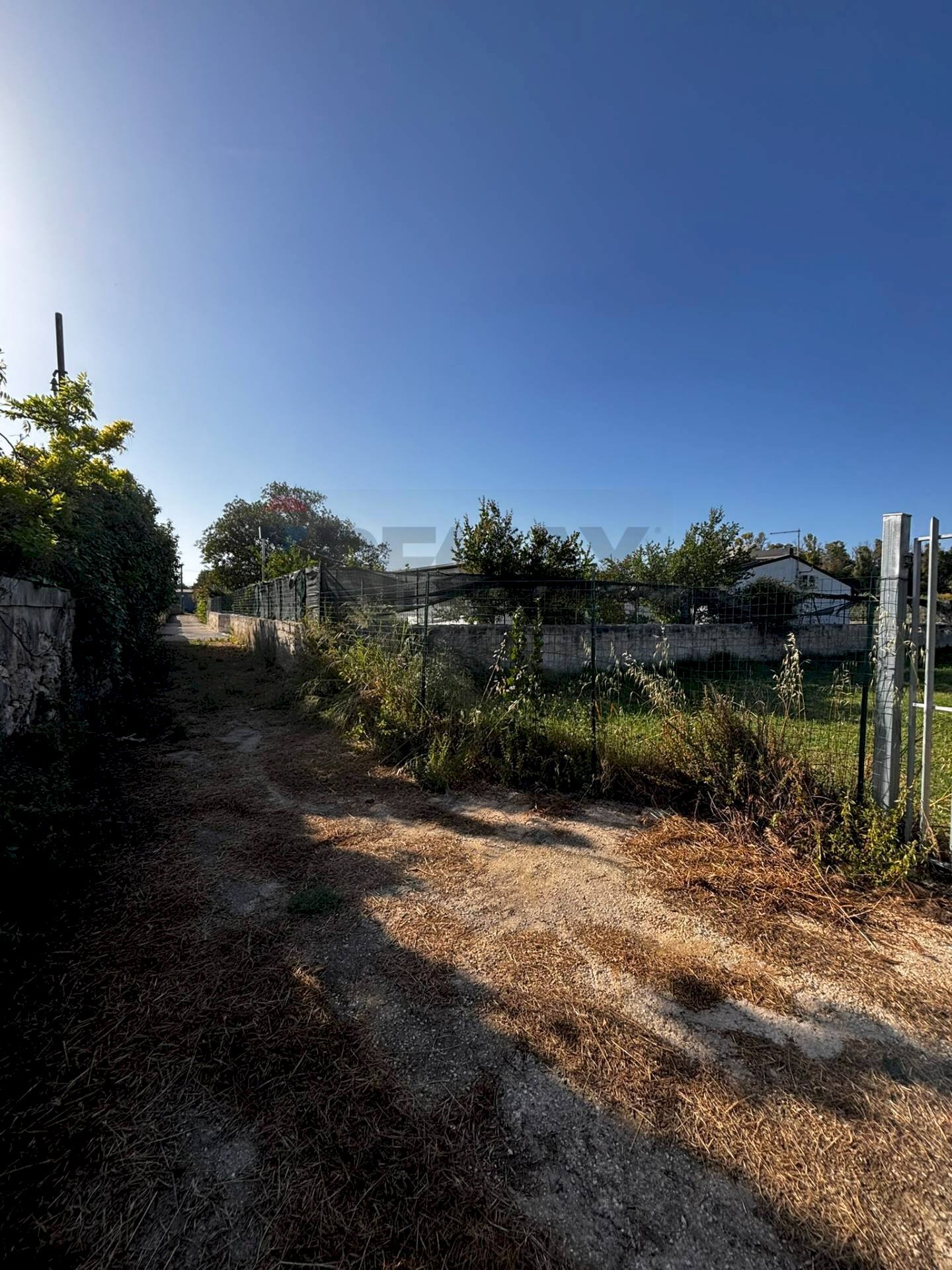 Giardino - Agricultural land Viale Paolo Orsi, Siracusa - photo 3