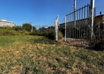 Giardino - Agricultural land Viale Paolo Orsi
snc, Siracusa - photo 13