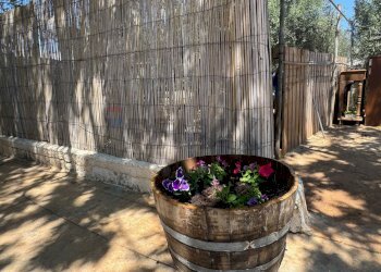 Giardino - Villa C.DA FONDO PISANA
 
snc, Portopalo di Capo Passero - foto 3