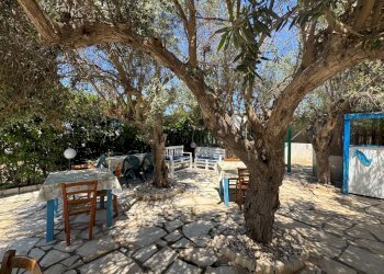 Terrazza - Villa C.DA FONDO PISANA
 
snc, Portopalo di Capo Passero - foto 59