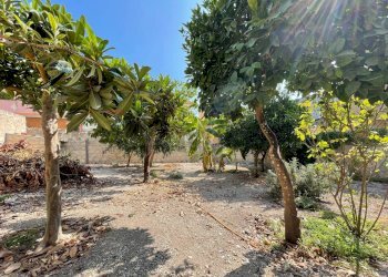 Giardino - Villa Via Ciro Menotti
 
95, Pachino - foto 72