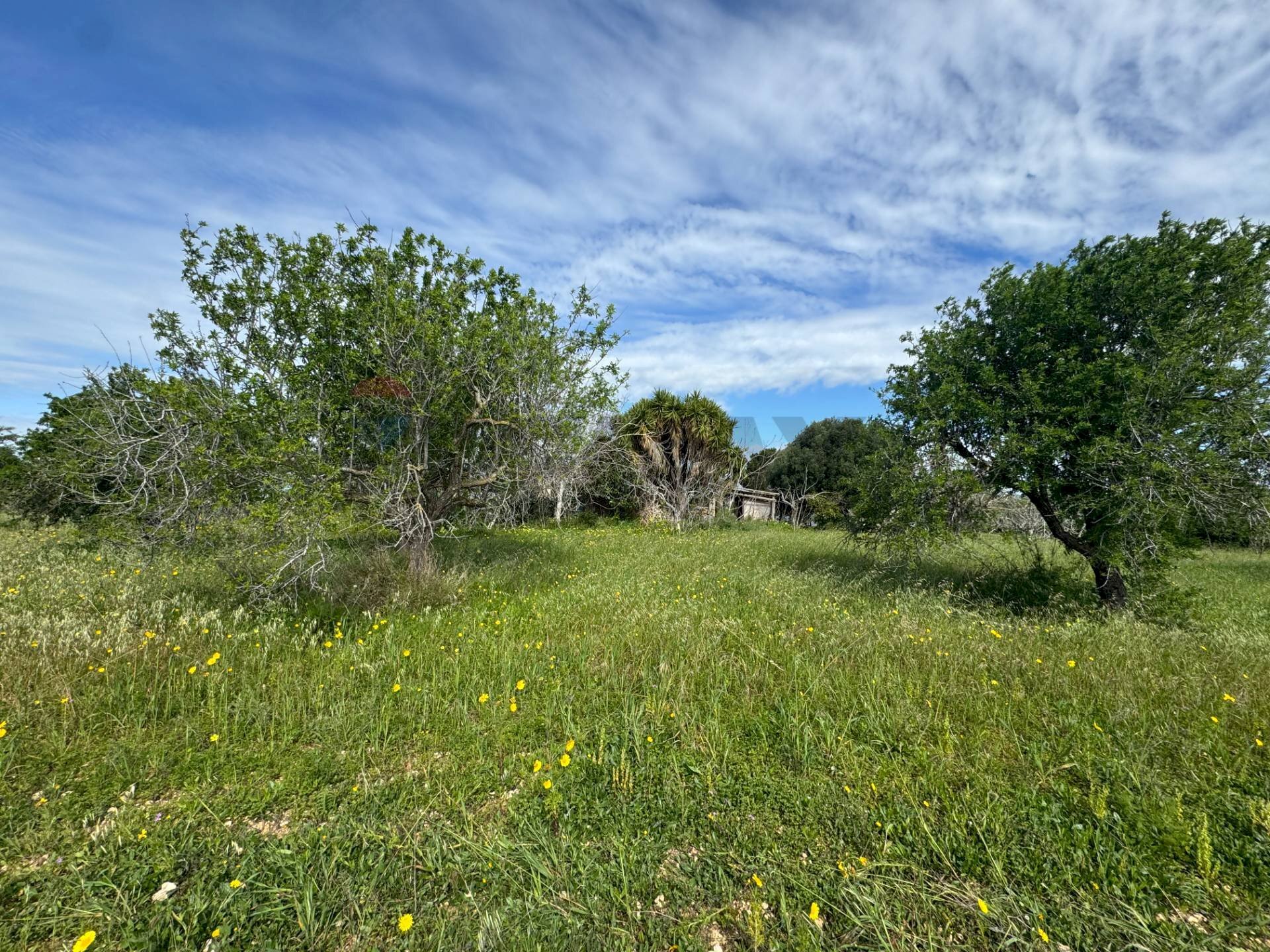 Giardino - Rustic C.DA SAN LORENZO TERRENI NUOVI
 
snc, Noto - photo 1