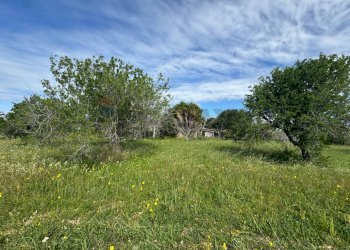 Giardino - Rustico C.DA SAN LORENZO TERRENI NUOVI
 
snc, Noto - foto 1