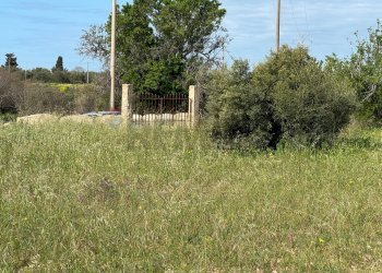 Giardino - Rustico C.DA SAN LORENZO TERRENI NUOVI
 
snc, Noto - foto 3