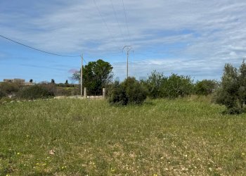 Giardino - Rustico C.DA SAN LORENZO TERRENI NUOVI
 
snc, Noto - foto 4