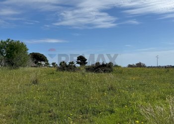 Giardino - Rustico C.DA SAN LORENZO TERRENI NUOVI
 
snc, Noto - foto 6
