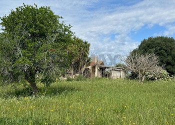 Giardino - Rustico C.DA SAN LORENZO TERRENI NUOVI
 
snc, Noto - foto 9