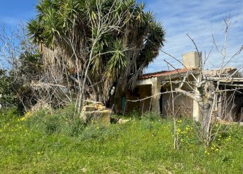 Giardino - Rustico C.DA SAN LORENZO TERRENI NUOVI
 
snc, Noto - foto 11