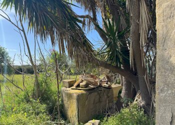 Giardino - Rustico C.DA SAN LORENZO TERRENI NUOVI
 
snc, Noto - foto 14