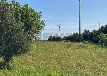 Giardino - Rustico C.DA SAN LORENZO TERRENI NUOVI
 
snc, Noto - foto 28