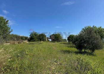 Giardino - Rustico C.DA SAN LORENZO TERRENI NUOVI
 
snc, Noto - foto 29