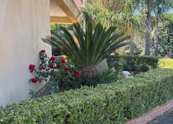 Giardino - Villa Siracusa - foto 35