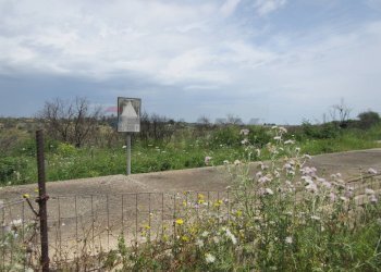 Giardino - Agricultural land pista del sole
s.n.c., Melilli - photo 6