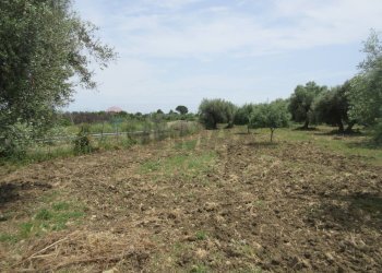 Giardino - Agricultural land pista del sole
s.n.c., Melilli - photo 7