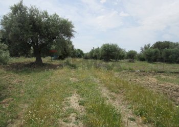 Giardino - Agricultural land pista del sole
s.n.c., Melilli - photo 9